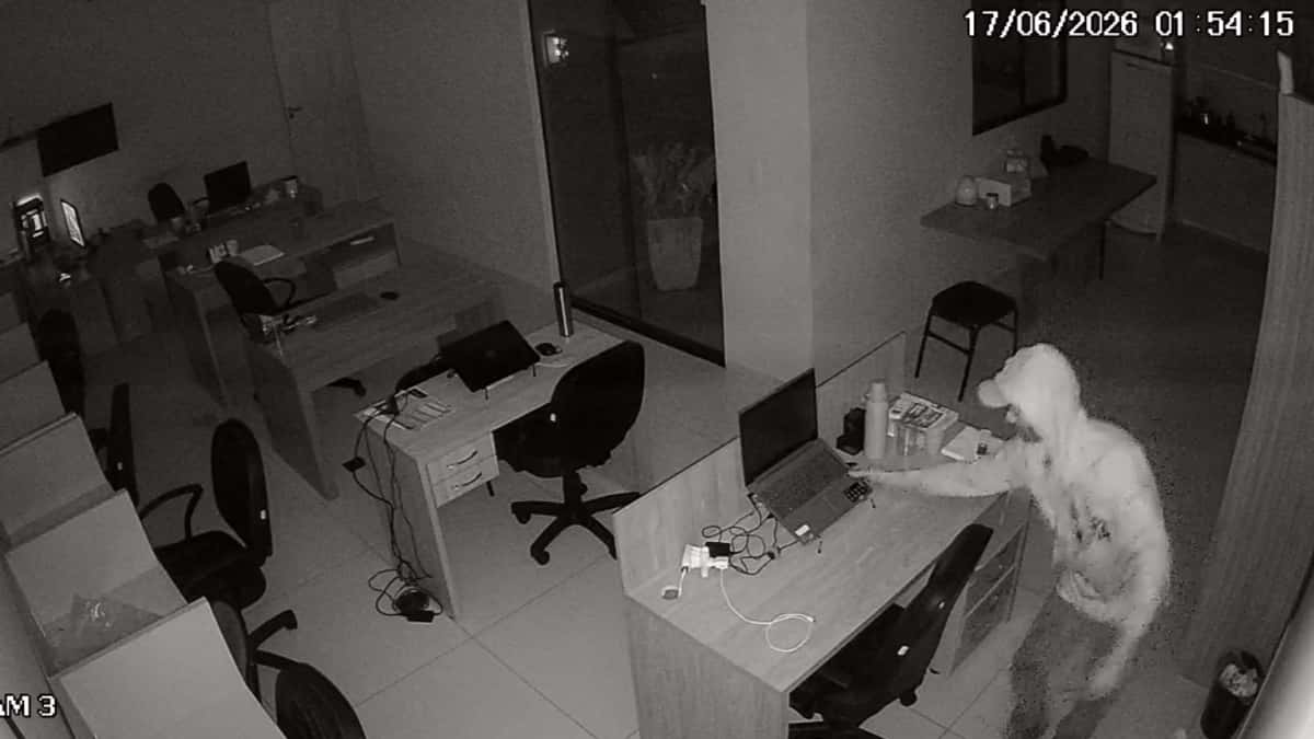 Ladrão arromba imobiliária e furta quatro notebooks em Rio Preto (SP)