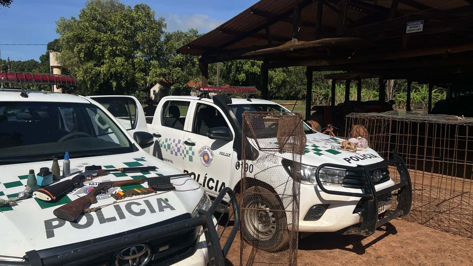 Indivíduo é preso com armas, carne de tatu e restos de onça-parda em fazenda de Monte Aprazível (SP)