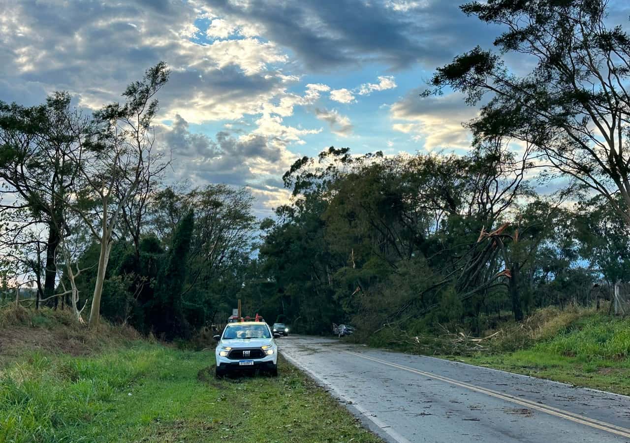 Temporal derruba árvores e interdita rodovia entre Potirendaba e Cedral