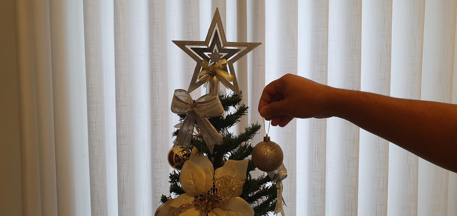 Dia de Reis: dia de desmontar a árvore de Natal